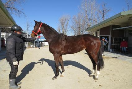 ���� ����