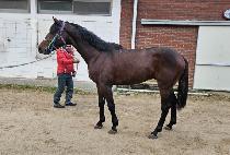 ����Ǻ� (GYEONGBUUIBIT) ����