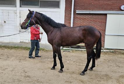 ����Ǻ� ����