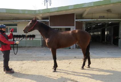 �Ŵ��Ѻ� ����