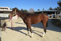 �̼��ǰ��� (ISEONGUI GANJI) ����