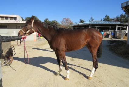 �̼��ǰ��� ����