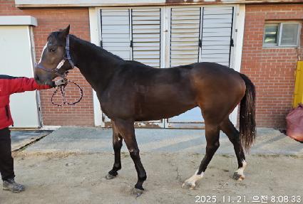 ����ũ���� ����