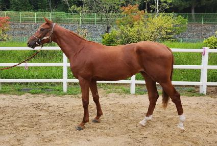 ��ö���� ����