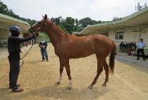 ����Ʈĸƾ (NIGHT CAPTAIN) ����