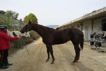 ���������� (BULGEUN YEOJEONSA) ����