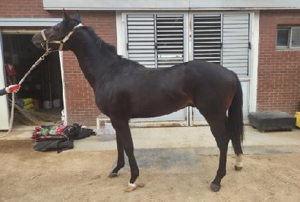 û�������� ����