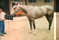 �뱤�� (DAE KWANG SIM) ����