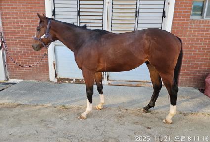 �뼺���� ����