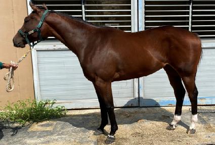 ũ�������ƹ� ����