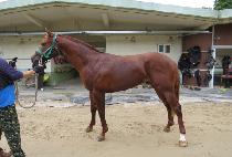 ����ê (SEOPOKCHAT) ����