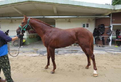 ����ê ����