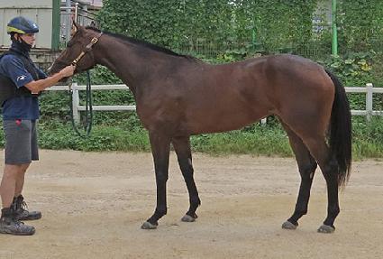 Ʈ����� ����