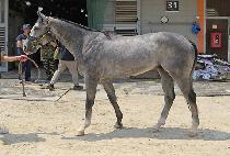 �����̽� (JEONGSANG ACE) ����