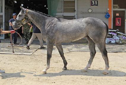 �����̽� ����