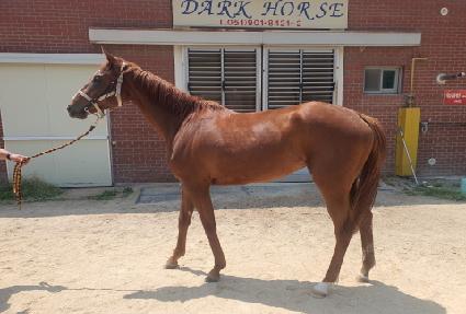 è������� ����