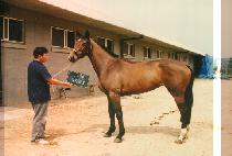 �ָ����� (JOO MA GAN SAN) ����