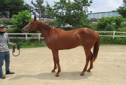 ���ϵ���� ����