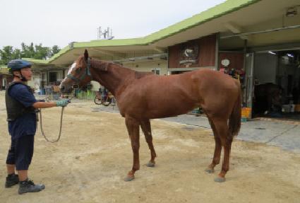 ����̽� ����