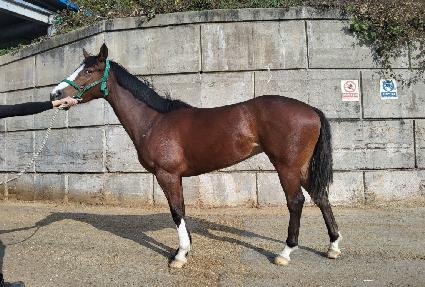 �����ǵ� ����