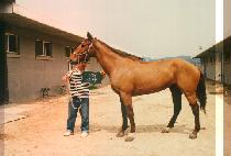 ���� (MAN PA) ����