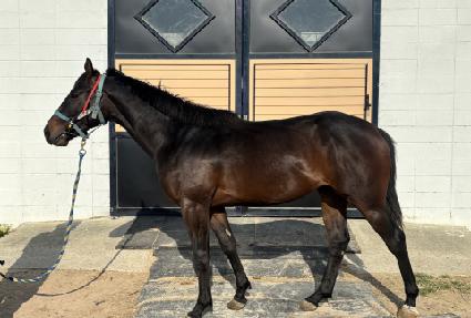 �����̽���� ����