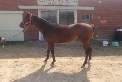 �۰�� ����