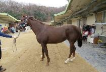 ����ŷ�� (JEONGMUN KINGDOM) ����