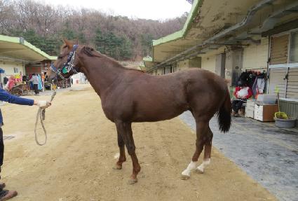 ����ŷ�� ����