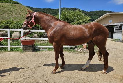 ���ƽý��Ƶ� ����