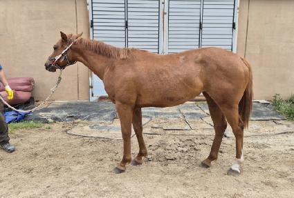 �׸����� ����