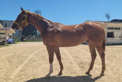 ���Ի�巡�� ����