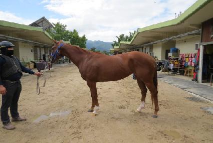 �����ġ ����