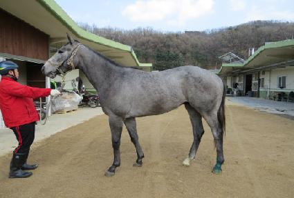 �ɷµ��� ����