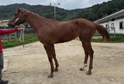 �׸����̳��� ����