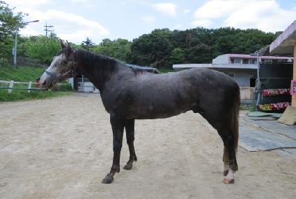 �л���� ����