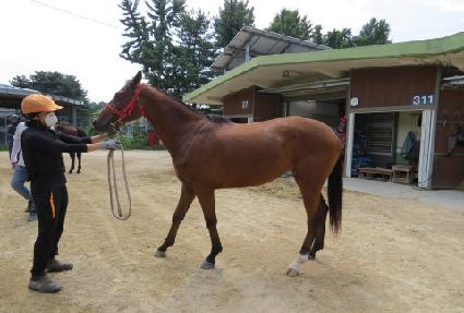 �л���� ����