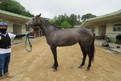 �л����� ����