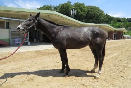 �л�ҵ� ����