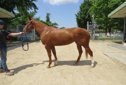 ���д뼼 ����