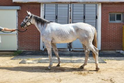 �����÷��� ����