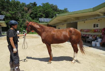 ���и��� ����