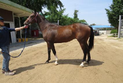 ������ ����