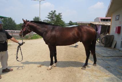 ������ ����