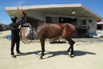 ���Ÿ (LAVITA) ����