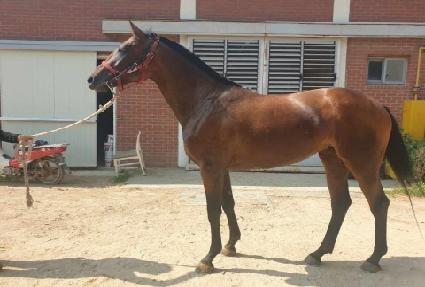 �����Ŀ� ����