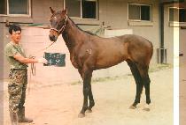 ��� (TONG DAL) ����