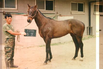 ��� ����