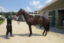 �̽����¾� (MR. TAEYANG) ����