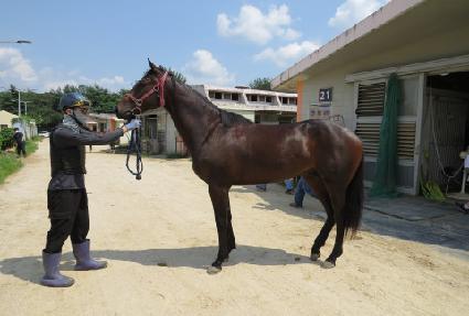 �̽����¾� ����